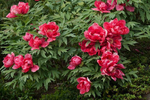 Traversin 160 cm anti-acariens : confort et protection pour votre sommeil