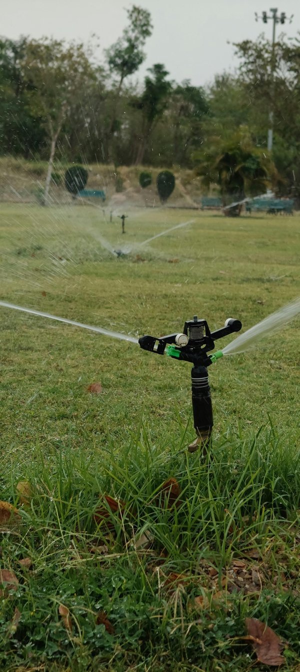 Pose d'un arrosage automatique : contactez un expert en irrigation